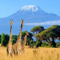 جاذبه های گردشگری کنیا