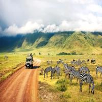 جاذبه های گردشگری تانزانیا