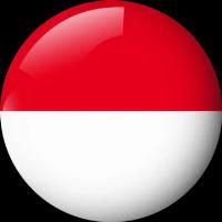 ویزای اندونزی